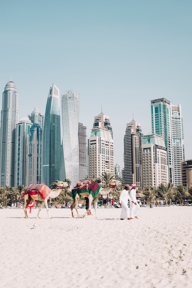 Discovering Dubai With Top 10 Travel And Tourism Companies In Dubai