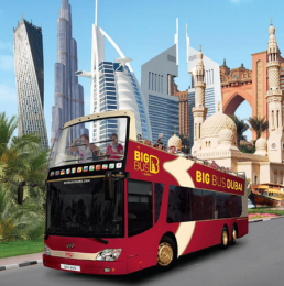 Big Bus Discover Dubai Tour