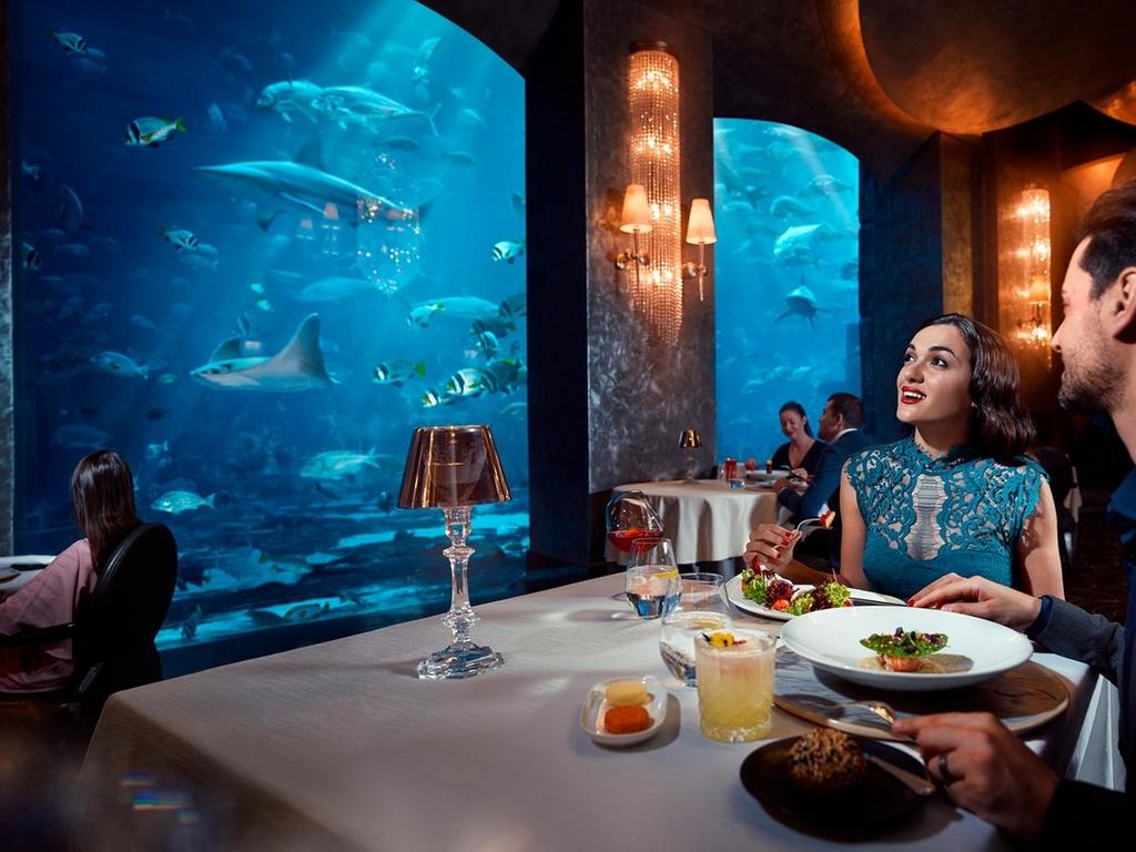 Must-Visit Under the Sea Restaurants In and Around Dubai That Are Not To Be Missed