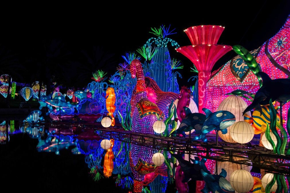 A Magical Experience at Dubai Garden Glow