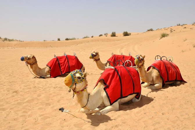 Enchanting Desert Getaways You Cannot Miss in the UAE
