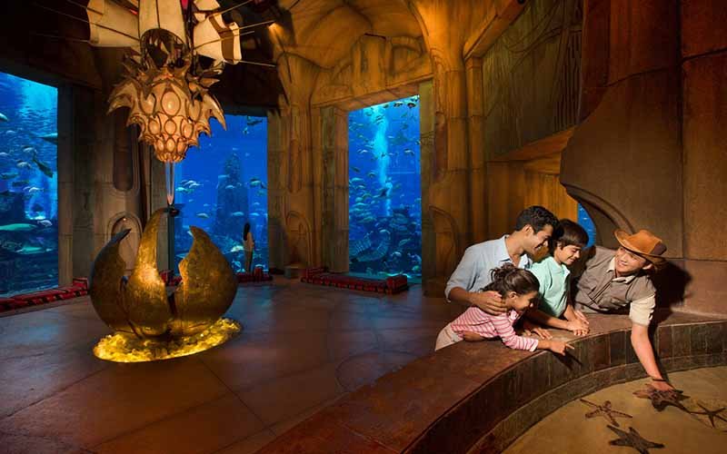 Think the Aquarium Is Just for Kids? Why Adults Are Falling in Love with Lost Chambers!