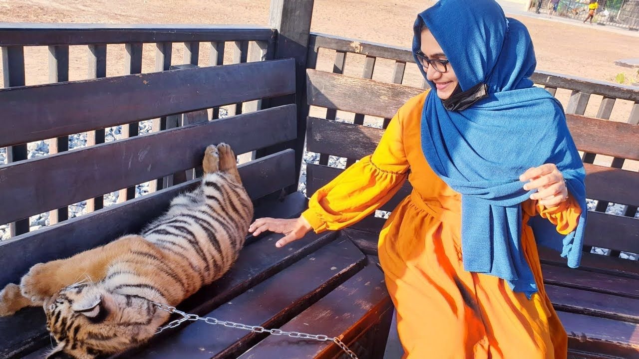 Get Closer to Nature: The Ultimate Guide to Visiting Umm Al Quwain Zoo