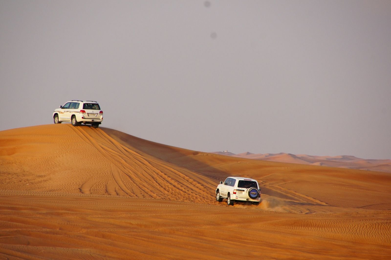 summer desert safari