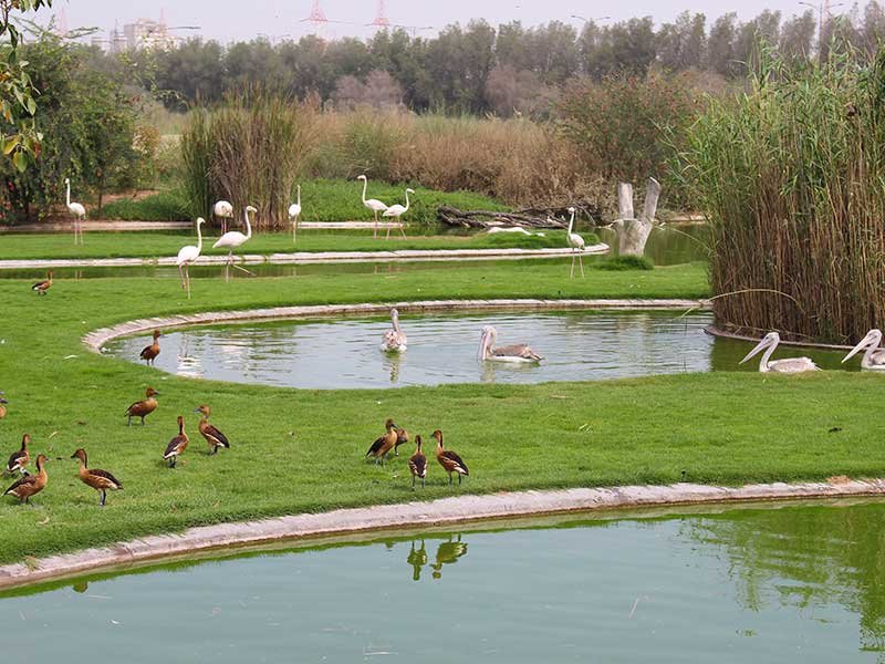 sharjah national park