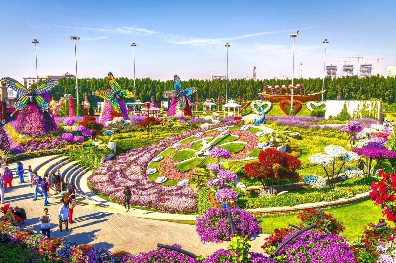 miracle garden