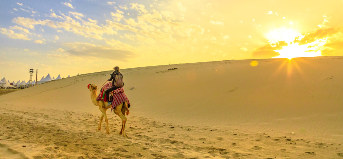 camel riding in morning