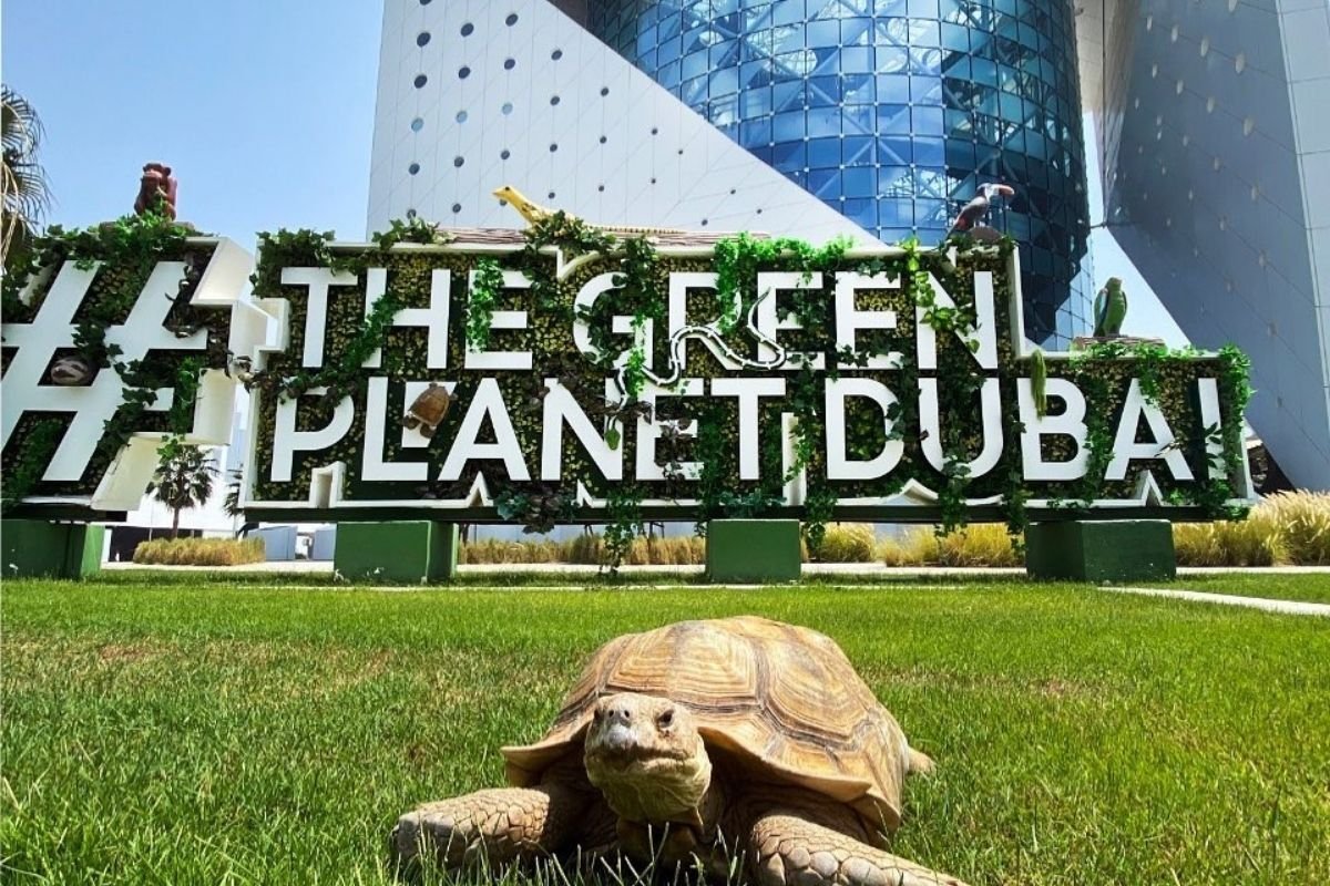 the green planet dubai