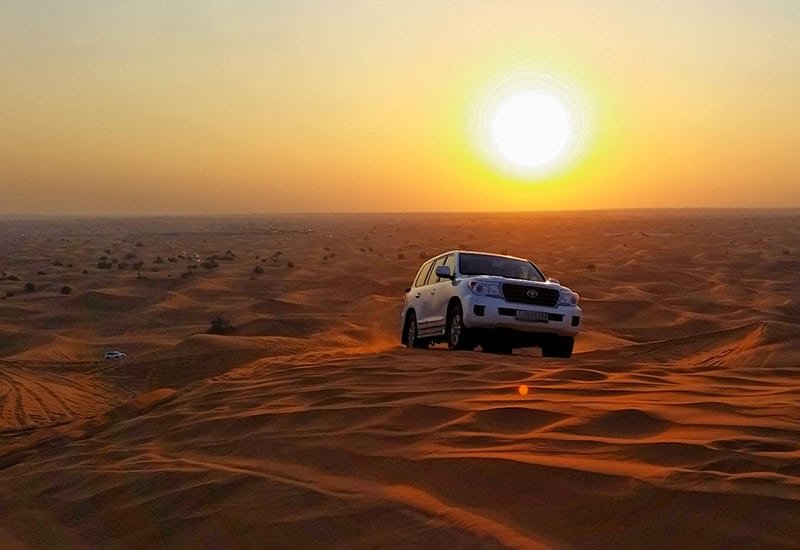 morning desert safari