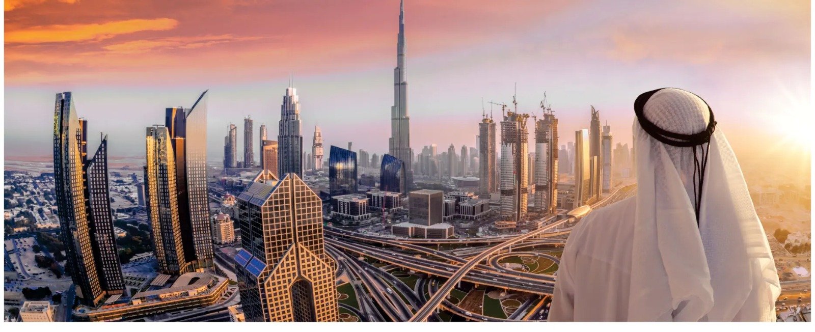 uae 2030 vision