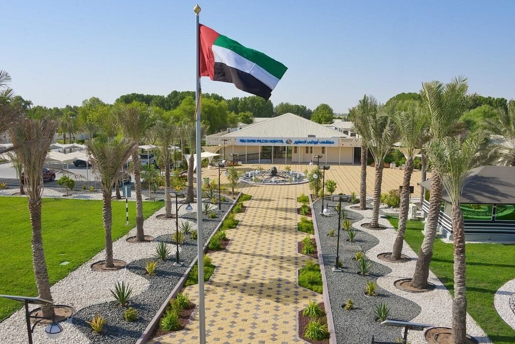 abu dhabi falcon hospital