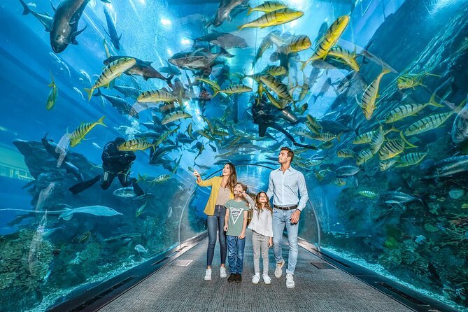 the dubai aquarium 