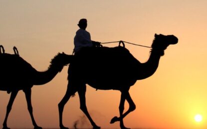 Desert Evening Safari in Dubai : Experience the Magic of the Arabian Night