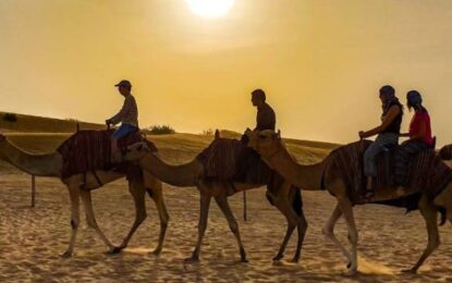 Morning Desert Safari: Your Ultimate Guide