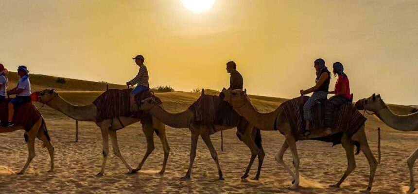 2_20240620_170233_0001.jpg › Forever Tourism LLC