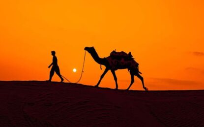 Evening Desert Safari in Dubai: Discover the Magic Experience
