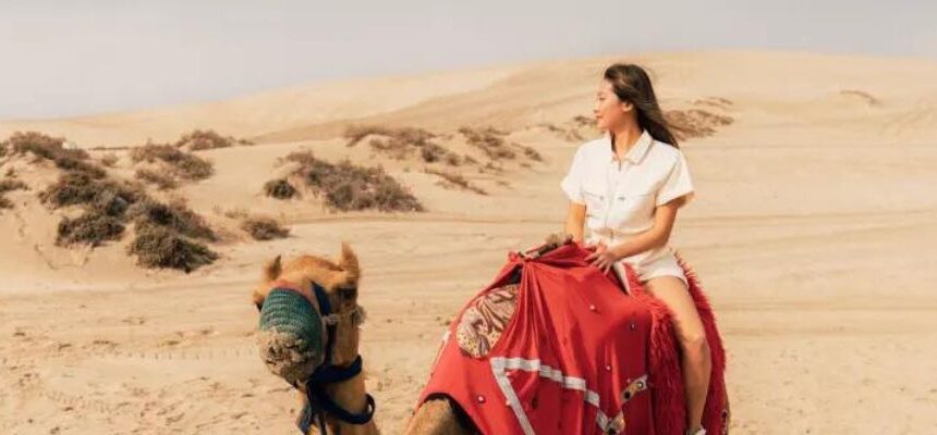 Dubai Desert Safari: Discover the Magic of the Desert Journey