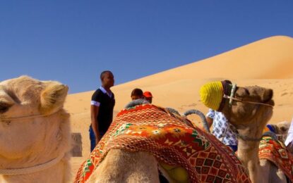 Nearest Desert Safari : Your Ultimate Dubai Adventure 