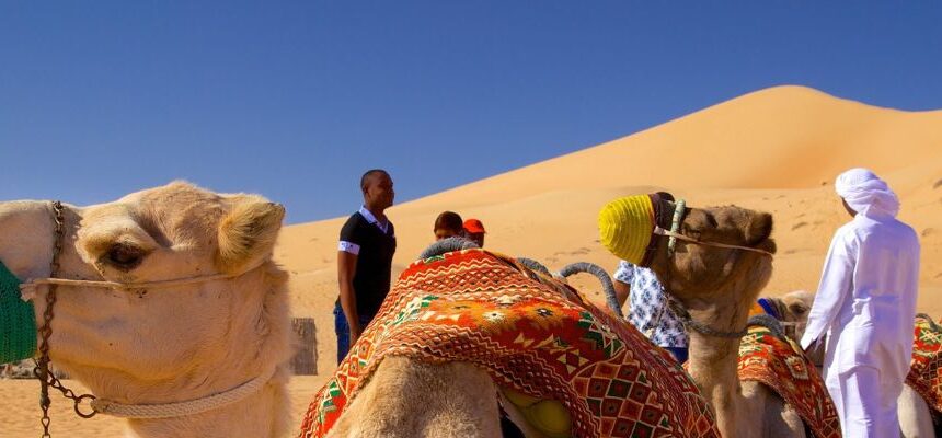 Nearest Desert Safari : Your Ultimate Dubai Adventure 
