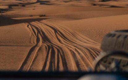 Cheap Desert Safari: An Best Adventure on a Budget