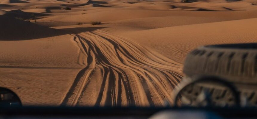 Cheap Desert Safari: An Best Adventure on a Budget