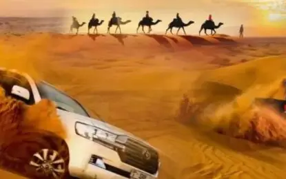 Red Dune Desert Safari in Dubai ; Discover the Thrill