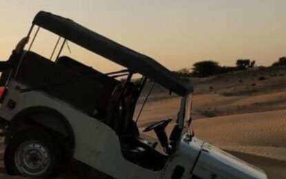 Viator Desert Safari: Unleashing the Magic of the Arabian Sands