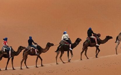 Desert Safari Camel Ride in Dubai: How to Enjoy the Ultimate Arabian Adventure