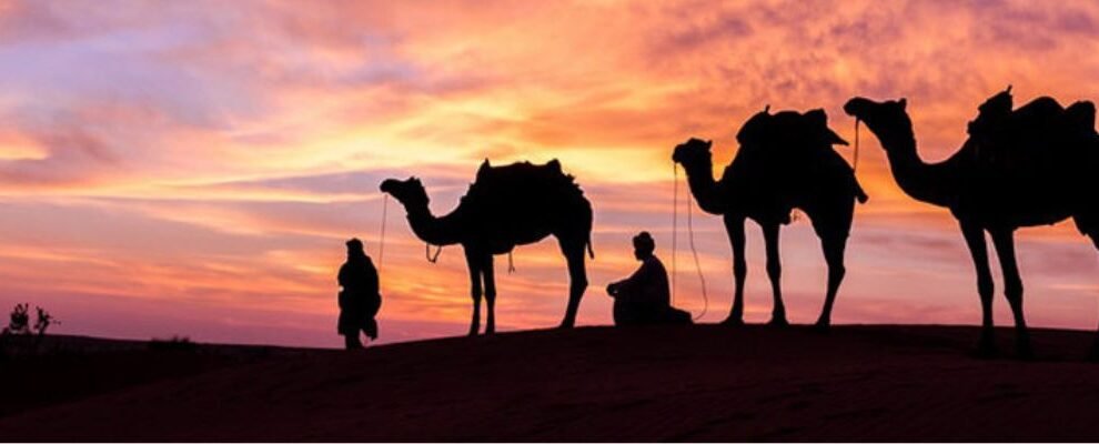 WhatsApp-Image-2024-06-19-at-2.48.49-AM-2 › Forever Tourism LLC