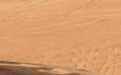 Wild Desert Safari in Dubai: An Unmatched Adventure Experience