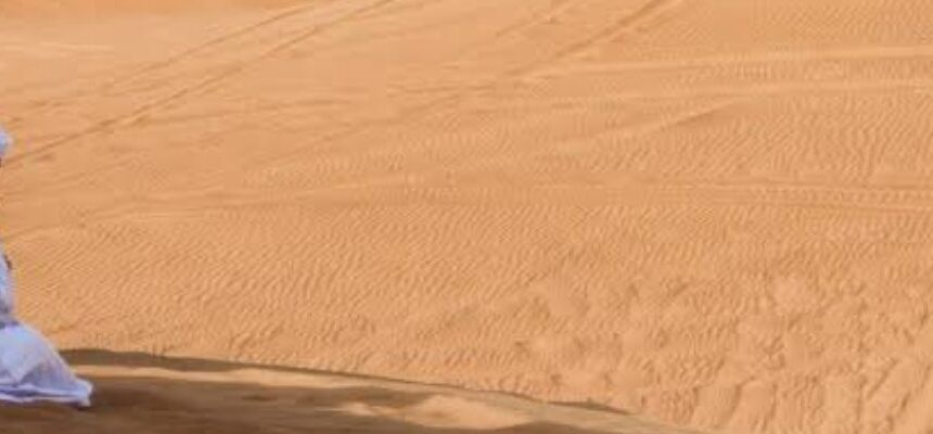 Wild Desert Safari in Dubai: An Unmatched Adventure Experience