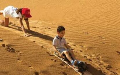 Best Desert Safari in Dubai: How to Enjoy an Adventure