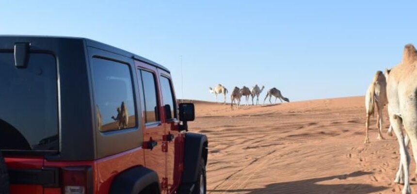 Safari in UAE: Unveiling the Ultimate Desert Adventure