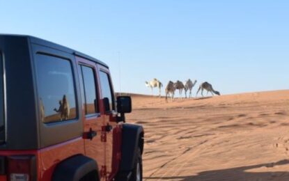 Dubai Desert Safari Offers: Unmatched Adventures and Unbeatable Value
