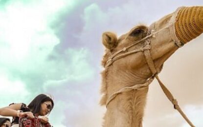 Desert Safari Online Booking in Dubai: Your Ultimate Guide