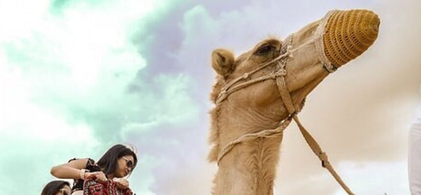 Desert Safari Online Booking in Dubai: Your Ultimate Guide