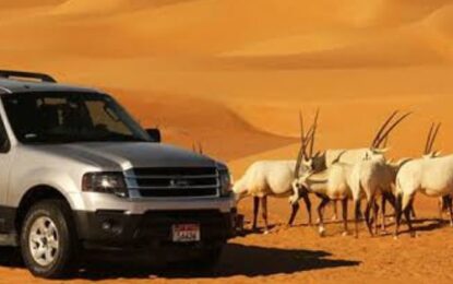 Desert Safari Booking: Your Gateway to the Best Arabian Adventure