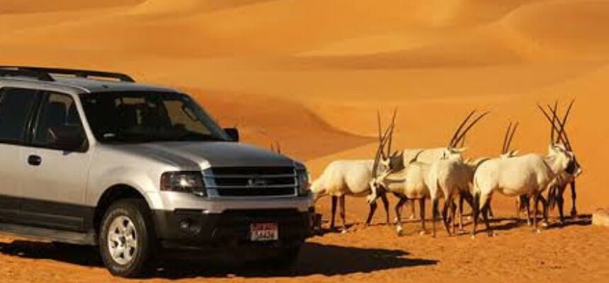 Desert Safari Booking: Your Gateway to the Best Arabian Adventure