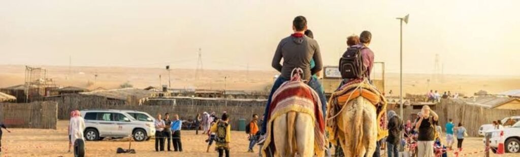 Camel caravan in the Dubai desert with a sunset backdrop.