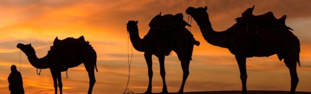 Live entertainment performance in the Dubai desert.