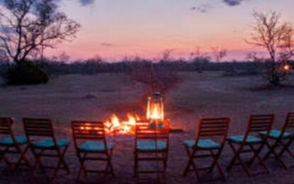 Desert Trip Dubai: An Unforgettable Adventure