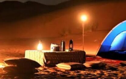 Night Safari Dubai: Experience the Magic of the Desert After Dark