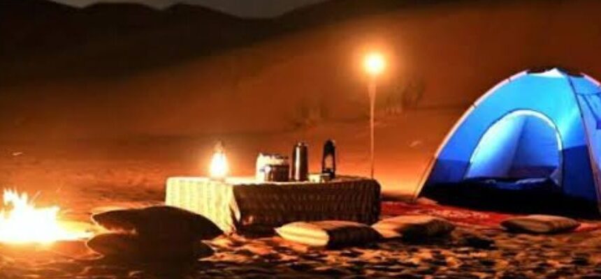Night Safari Dubai: Experience the Magic of the Desert After Dark
