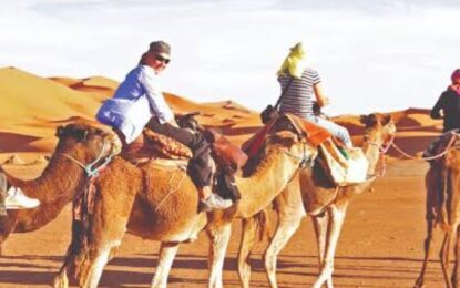 Safari Ride Dubai: An Amazing Desert Adventure