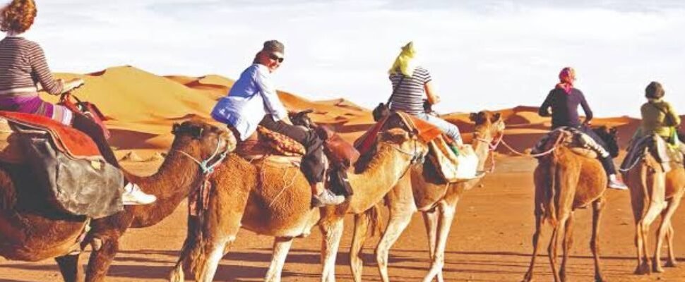 Safari ride vehicle navigating Dubai's desert dunes