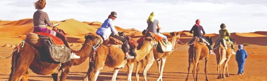 Camel Tour Dubai, evening desert camp setup.