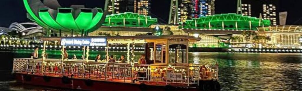 Aerial view of Dubai Marina's skyline at night.