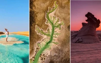 The top 10 amazing natural wonders you can visit in Abu Dhabi