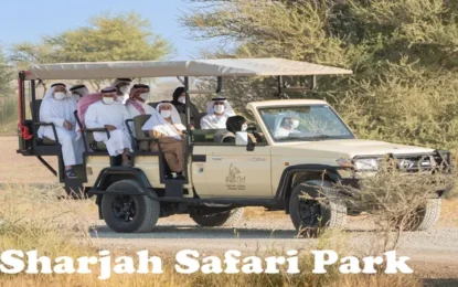 Best Things To Do At Sharjah Safari Park