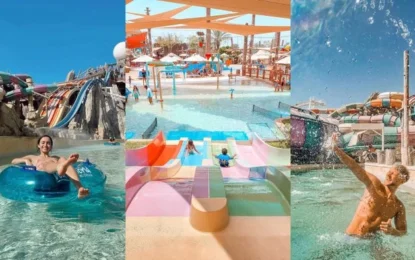 Must-Try rides at Yas Waterworld in Abu Dhabi that are not to be missed